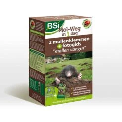 BSI Mol Weg In 1 Dag