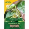 Ecostyle Aaltjes Tegen Larven Fruitmot 60 M² -Optimaal Tuinonderhoud Winkel ecostyle aaltjes tegen larven fruitmot 60 m 1612380050 l