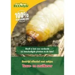 Ecostyle Aaltjes Tegen Larven Taxus-kever L 100 M²