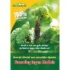 Ecostyle Gaasvlieg Tegen Bladluis -Optimaal Tuinonderhoud Winkel ecostyle gaasvlieg tegen bladluis 1612388213 l