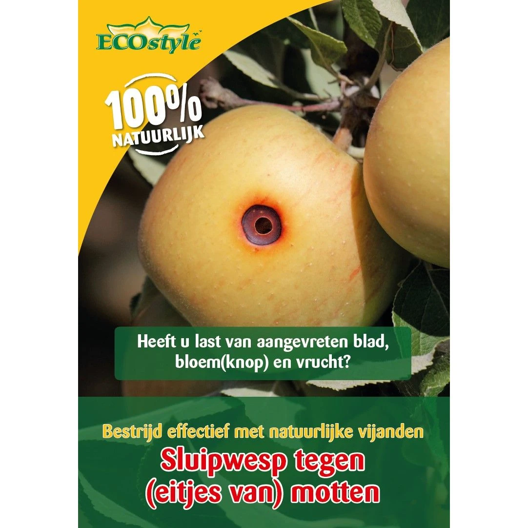 Ecostyle Sluipwespen Tegen Eitjes Van Motten 3 Ecostyle Sluipwespen Tegen Eitjes Van Motten