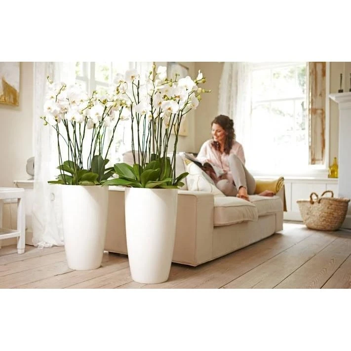 Elho Brussels Diamond Round High 27 White 4 Elho Brussels Diamond Round High 27 White - Afbeelding 2