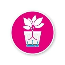 Elho Loft Urban Round High 35 Antraciet -Optimaal Tuinonderhoud Winkel elho loft urban round high 35 antraciet 366x366 62483187c0c3d l