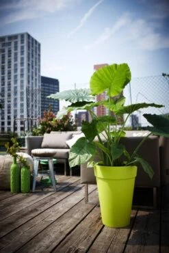 Elho Loft Urban Round High 35 Antraciet -Optimaal Tuinonderhoud Winkel elho loft urban round high 35 antraciet 699x1048 62483187740d2 l