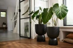 Elho Pure Coupe 35 Black -Optimaal Tuinonderhoud Winkel elho pure coupe 35 black 1024x683 63bd38e0385be l