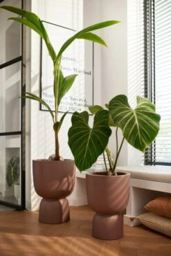 Elho Pure Coupe 35 Rosy Brown -Optimaal Tuinonderhoud Winkel elho pure coupe 35 rosy brown 683x1024 63bd3a92d360f l