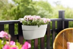 Elho Vibia Campana Easy Hanger Large Zijdewit -Optimaal Tuinonderhoud Winkel elho vibia campana easy hanger large zijdewit 1024x682 61efe4cb8764d l