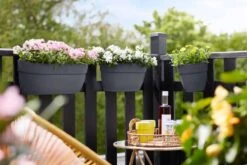 Elho Vibia Campana Easy Hanger Medium Anthraciet -Optimaal Tuinonderhoud Winkel elho vibia campana easy hanger medium anthraciet 1024x682 61e963649290e l