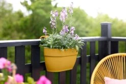 Elho Vibia Campana Easy Hanger Medium Honinggeel -Optimaal Tuinonderhoud Winkel elho vibia campana easy hanger medium honinggeel 1024x682 61e94f6e1ea7a l