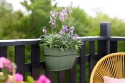 Elho Vibia Campana Easy Hanger Medium Pistache Groen -Optimaal Tuinonderhoud Winkel elho vibia campana easy hanger medium pistache groen 1024x682 61e9615396f99 l