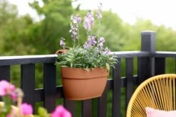 Elho Vibia Campana Easy Hanger Medium Terra -Optimaal Tuinonderhoud Winkel elho vibia campana easy hanger medium terra 1024x683 6427f76f2d4f0 l