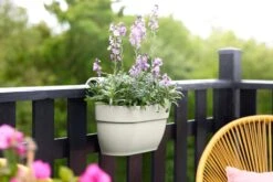 Elho Vibia Campana Easy Hanger Medium Zijdewit -Optimaal Tuinonderhoud Winkel elho vibia campana easy hanger medium zijdewit 1024x682 61e9653bc75b6 l