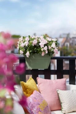 Elho Vibia Campana Flower Bridge 40 Pistachegroen -Optimaal Tuinonderhoud Winkel elho vibia campana flower bridge 40 pistachegroen 1023x1536 61e56696cfe38 l