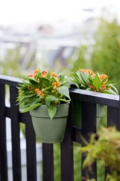 Elho Vibia Campana Flower Twin 21 Pistachegroen -Optimaal Tuinonderhoud Winkel elho vibia campana flower twin 21 pistachegroen 1023x1536 61e5666c4552b l