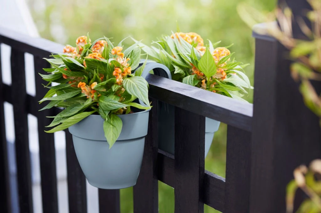 Elho Vibia Campana Flower Twin 21 Vintage Blauw 6 Elho Vibia Campana Flower Twin 21 Vintage Blauw - Image 4