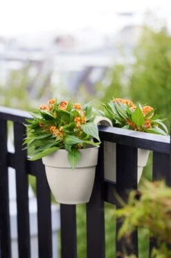 Elho Vibia Campana Flower Twin 21 Zijdewit -Optimaal Tuinonderhoud Winkel elho vibia campana flower twin 21 zijdewit 1023x1536 61e54f4852b05 l