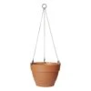 Elho Vibia Campana Hanging Basket 26 Terra -Optimaal Tuinonderhoud Winkel elho vibia campana hanging basket 26 terra 1615235432 l