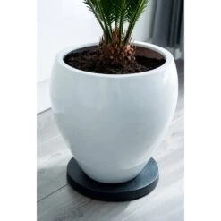 Nature Planttrolley Antraciet 29 Cm Rond 7 Nature Planttrolley Antraciet 29 Cm Rond -Optimaal Tuinonderhoud Winkel nature planttrolley antraciet 29 cm rond 1611764488 2 l