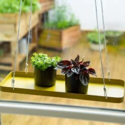 Optimaal Tuinonderhoud Winkel -Optimaal Tuinonderhoud Winkel plantenplateau hanger 15x38 cm goud 1024x1024 618bc7914a276 l