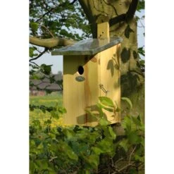 ESSCHERT DESIGN Observatie Nestkast -Optimaal Tuinonderhoud Winkel product 840bf5e117 l