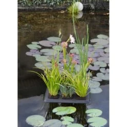 Velda Floating Islands Large -Optimaal Tuinonderhoud Winkel velda floating islands large 1 l